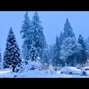 Meet your Posher, Muhammad